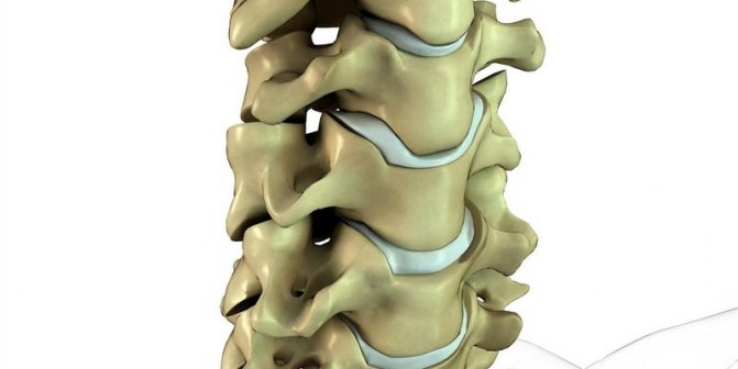 Травмы спины и позвоночника: особенности лечения и реабилитации