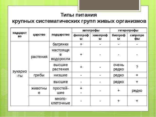 Схема классификация организмов по типу питания