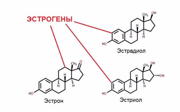 Эстрожель схема с утрожестаном