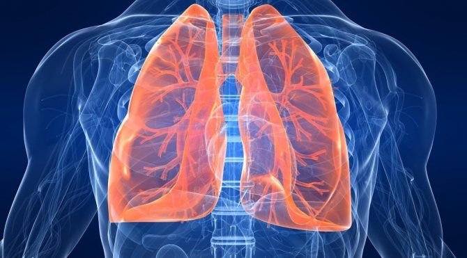 Корневая пневмония у взрослых – симптомы и лечение воспаления легких