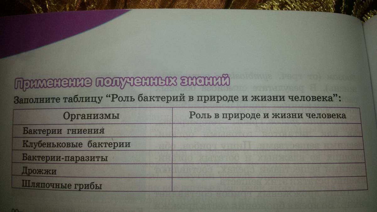 Составьте план ответа на тему роль бактерий на земле