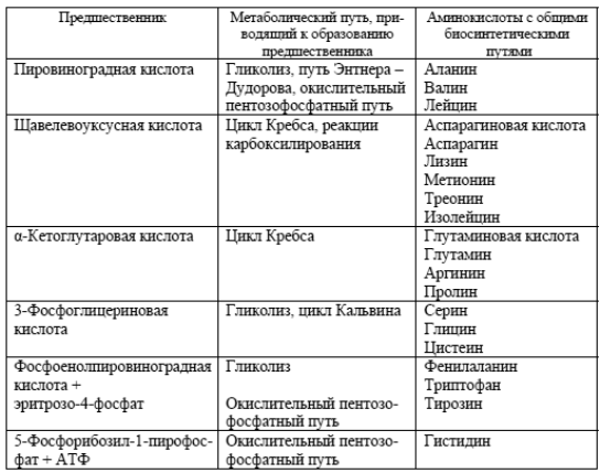 В чем заключается сущность биологических методов выделения чистых культур патогенных микроорганизмов. 876f78df1df261e30e62ee144e57a2bd. В чем заключается сущность биологических методов выделения чистых культур патогенных микроорганизмов фото. В чем заключается сущность биологических методов выделения чистых культур патогенных микроорганизмов-876f78df1df261e30e62ee144e57a2bd. картинка В чем заключается сущность биологических методов выделения чистых культур патогенных микроорганизмов. картинка 876f78df1df261e30e62ee144e57a2bd