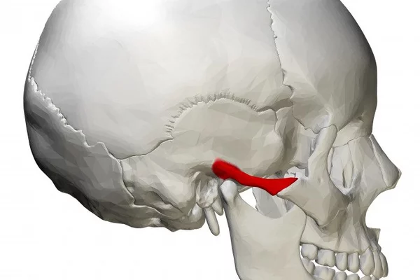 Как при травме определить перелом носа или ушиб?