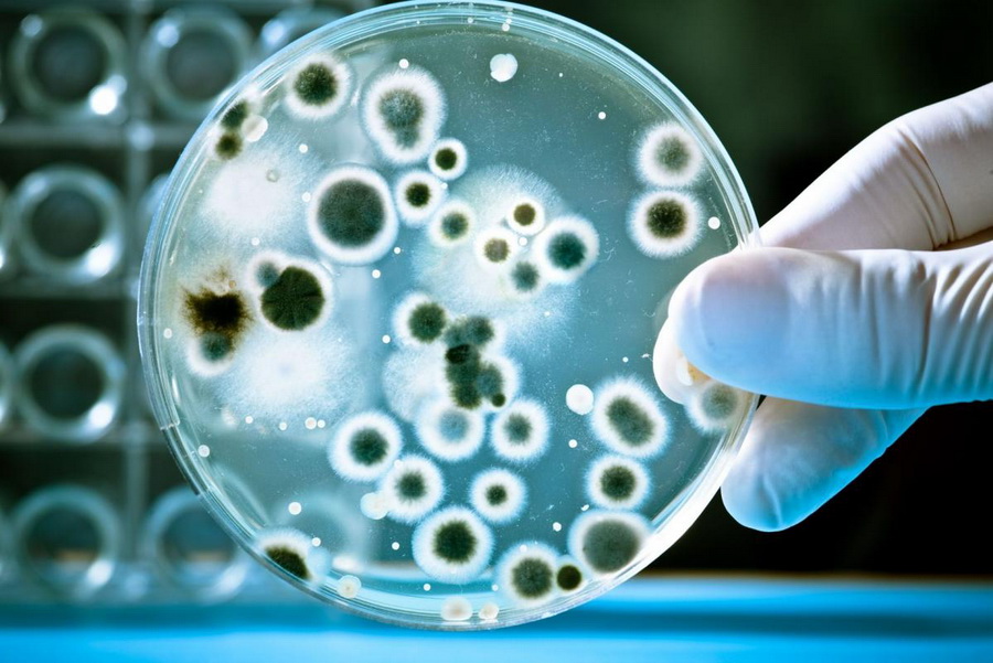 Защита человека от болезнетворных патогенных микроорганизмов