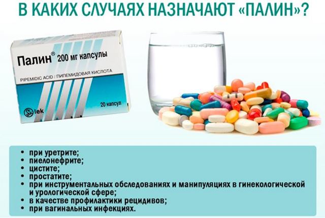 Таблетки «палин»: рекомендациипо применению, как принимать при цистите, дозировка
