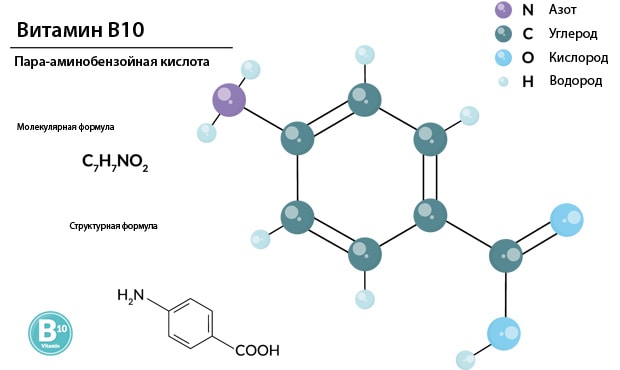 Витамин b10 (парааминобензойная кислота). функции и источники