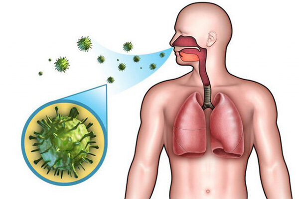 Пневмония передается воздушно капельным путем инфекция