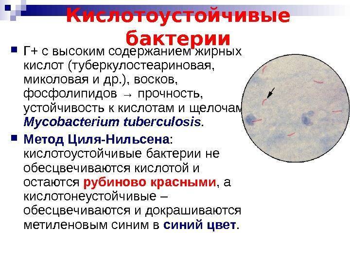 Спиртное синклера как попасть биошок