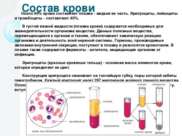 Кровь. часть 2. состав и свойства плазмы крови.