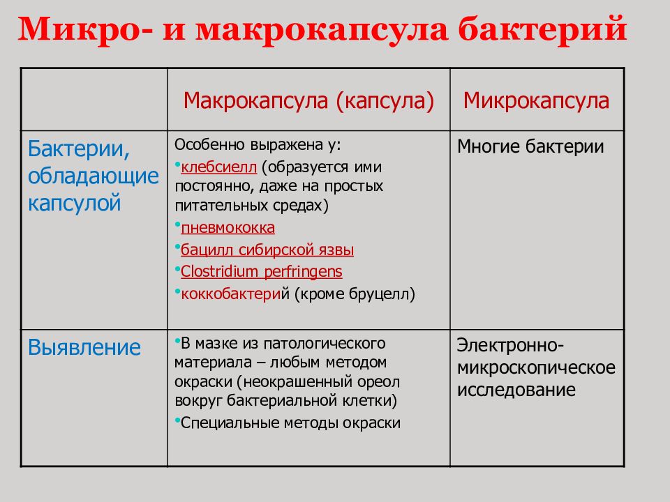 какую функцию выполняет капсула у бактерий. картинка какую функцию выполняет капсула у бактерий. какую функцию выполняет капсула у бактерий фото. какую функцию выполняет капсула у бактерий видео. какую функцию выполняет капсула у бактерий смотреть картинку онлайн. смотреть картинку какую функцию выполняет капсула у бактерий.