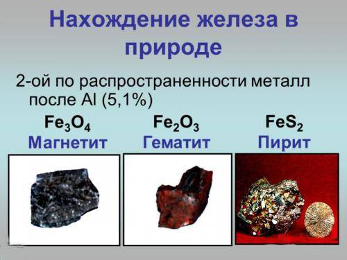 Железо в нашей жизни проект