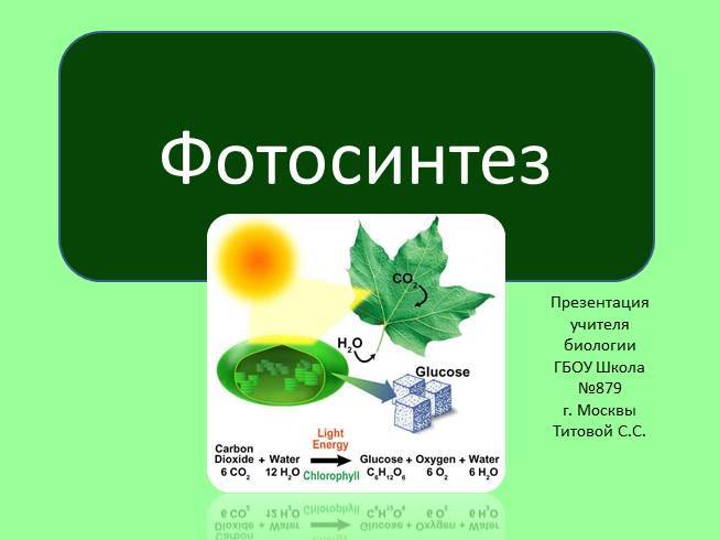 Фотосинтез презентация 10 класс