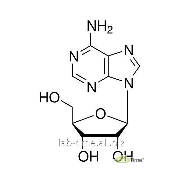 Аденозин - adenosine - qwe.wiki