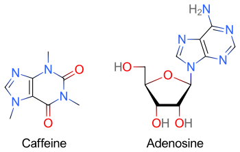 Аденозин