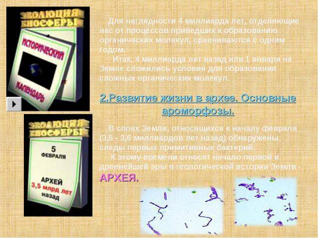 Бактерии это древние организмы потому что они. 91b49f8c6699550c6227fc60e2e4a909. Бактерии это древние организмы потому что они фото. Бактерии это древние организмы потому что они-91b49f8c6699550c6227fc60e2e4a909. картинка Бактерии это древние организмы потому что они. картинка 91b49f8c6699550c6227fc60e2e4a909.