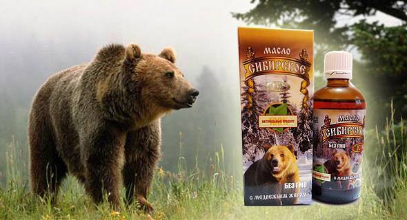 Как правильно принимать медвежий жир для лечения кашля?