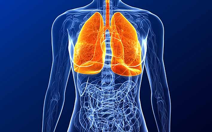 Болезни органов дыхания | лечение, причины, симптомы,  профилактика | болезни и заболевания человека на eurolab