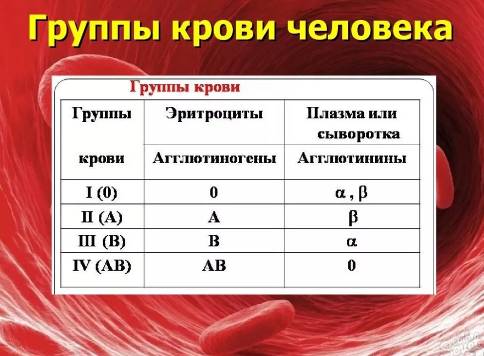 Первая положительная и вторая положительная. A2b группа крови. Антитела плазмы 1 группы крови. Rh 2 группа крови. Группа крови 2 положительная обозначение.