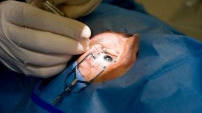 Народные средства для лечения отслойки сетчатки глаза