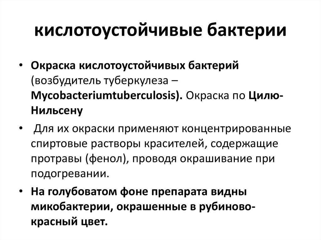 Кислотоустойчивые микобактерии. Кислотоустойчивые бактерии схема. Состав кислотоустойчивых бактерий. Строение кислрустойчивых бактерий. Строение клеточной стенки кислотоустойчивых бактерий.