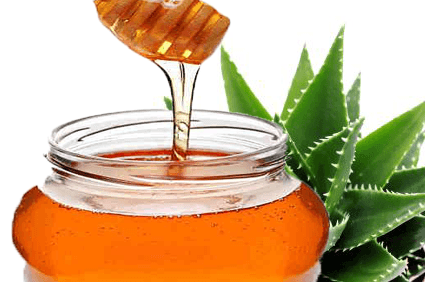 Можно ли лечить кашель с помощью алоэ? рецепты целебных средств с мёдом и другими компонентами
