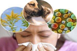 Гомеопатия от аллергии, препараты