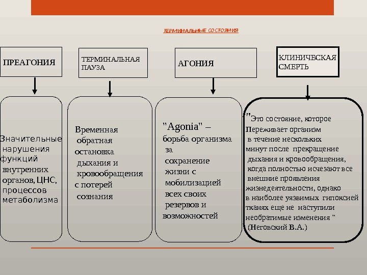 Как называется предсмертное состояние человека. Смотреть фото Как называется предсмертное состояние человека. Смотреть картинку Как называется предсмертное состояние человека. Картинка про Как называется предсмертное состояние человека. Фото Как называется предсмертное состояние человека