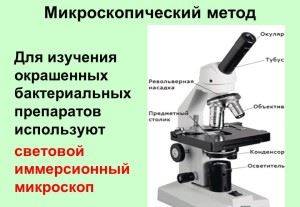 Методы контрастирования бактерий, обнаружения подвижности и спорообразования