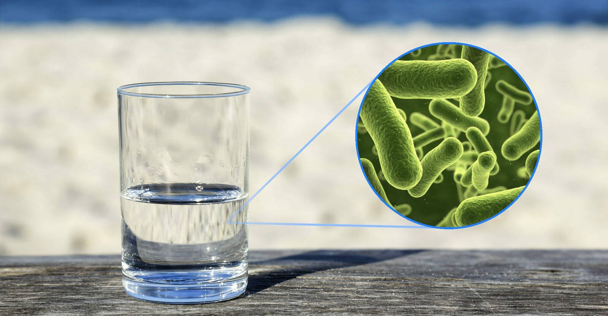 могут ли бактерии фото разлагать воду