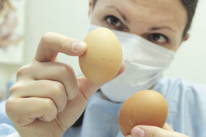 Ученые рассказали, почему яйца нужно есть каждый день