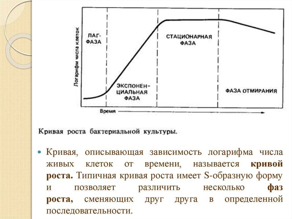 Критерии исторического прогресса в теории стадии роста. Фазы роста периодической культуры. Кривая роста микроорганизмов при периодическом культивировании. Фазы Кривой роста периодической бактериальной культуры. Стационарная фаза роста.