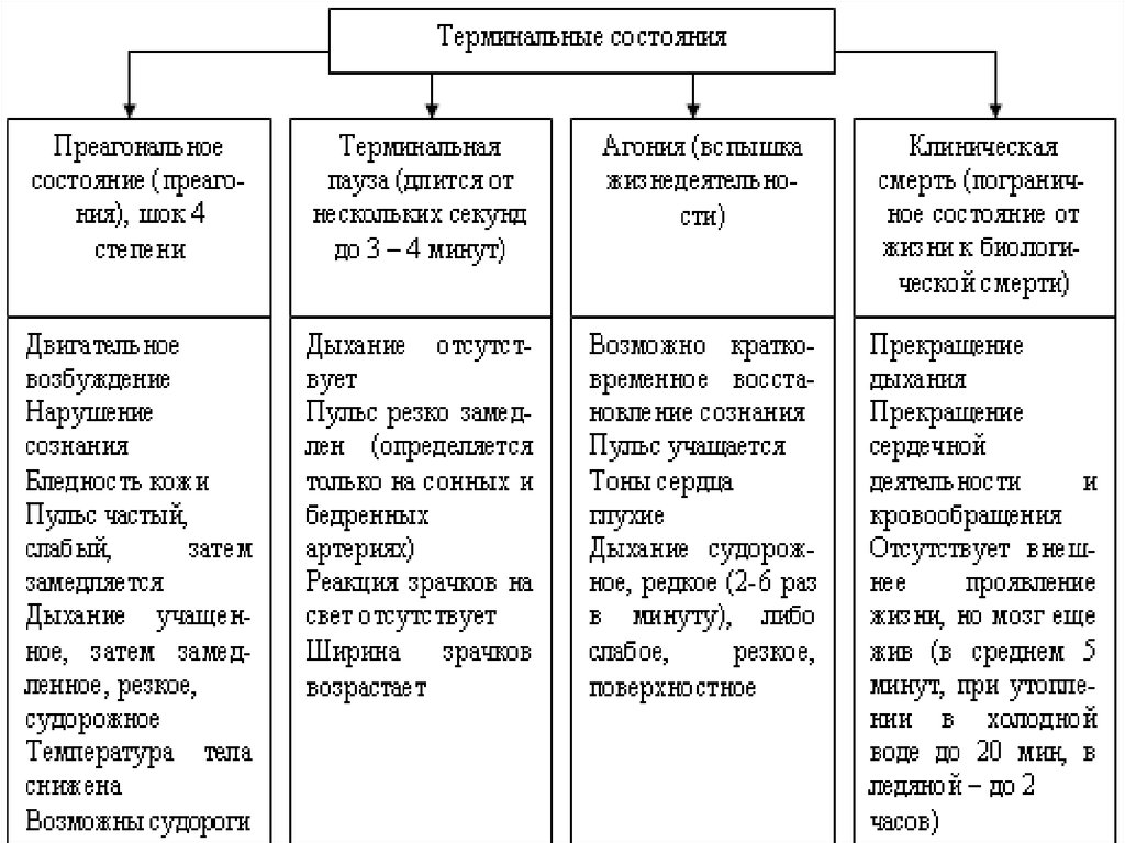 Терминальные состояния картинки