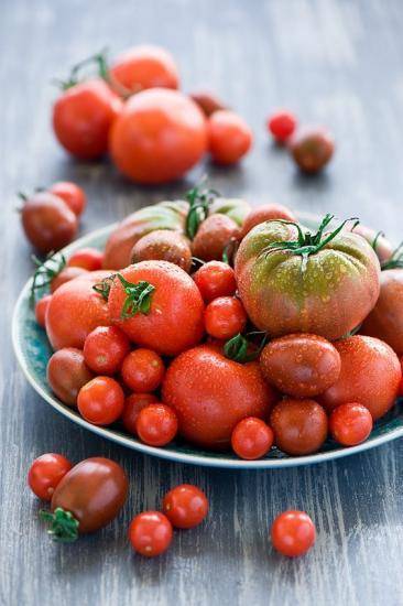 Аллергия на томаты