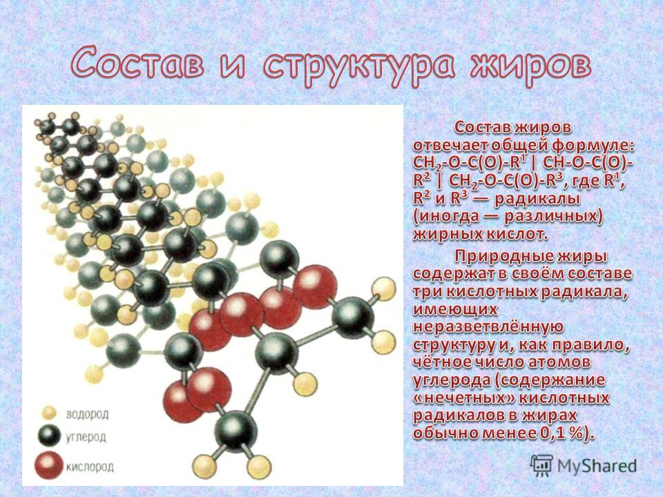 Жиры состоят из ответ