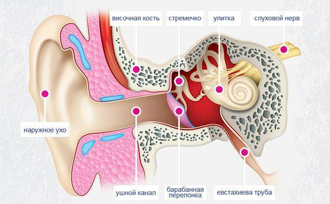 Факторы провоцирующие появления свиста в ушах и голове
