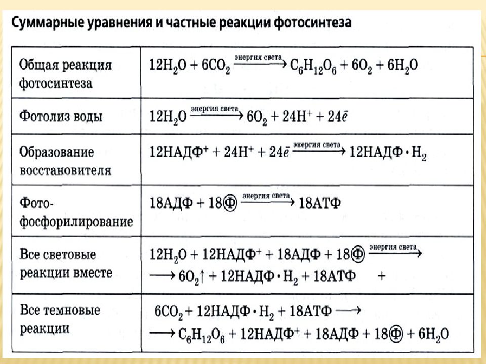 Подпишите на рисунке формулы веществ составьте уравнение реакции происходящей в листьях растений