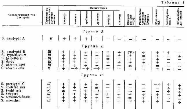 Схема кауфмана уайта сальмонелл