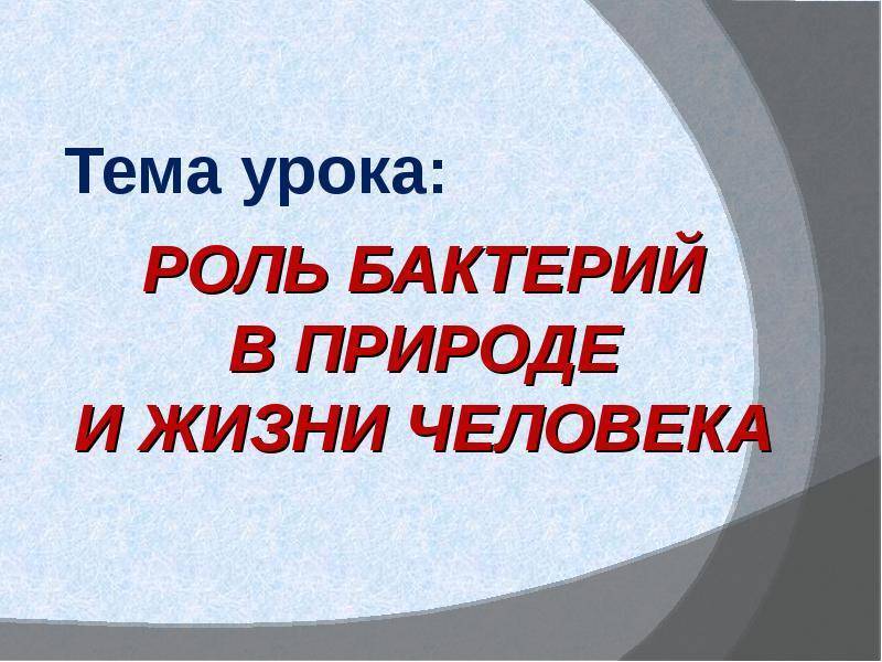 В чем заключается значение бактерий в природе. 9ed7c55873f1aaab91c3f797fe23a69f. В чем заключается значение бактерий в природе фото. В чем заключается значение бактерий в природе-9ed7c55873f1aaab91c3f797fe23a69f. картинка В чем заключается значение бактерий в природе. картинка 9ed7c55873f1aaab91c3f797fe23a69f