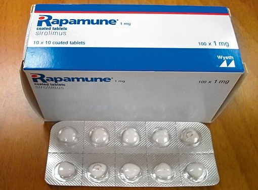 «рапамун» (сиролимус): цена, аналоги. где купить рапамицин?