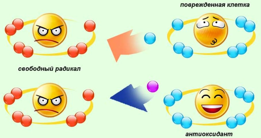 Свободные радикалы картинки для презентации