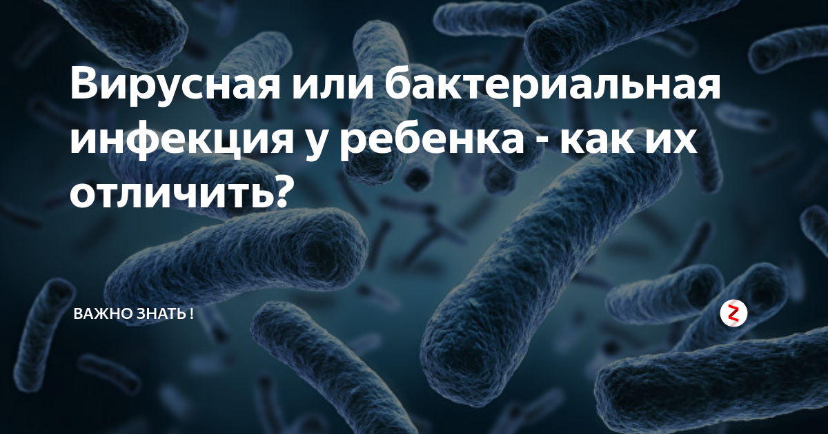 Бактериальная инфекция откуда. Бактериальная инфекция. Бактериальная инфекция у детей. Бактериальные заболевания детей. Микробная инфекция у ребенка.