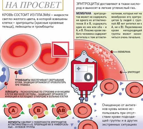 Жидкая часть крови человека - плазма