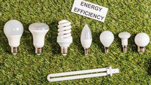 Куда выбросить энергосберегающую лампочку?