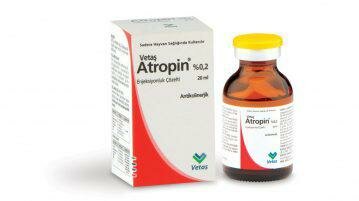 Атропин капли: инструкция и показания к применению препарата