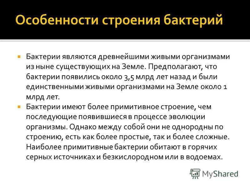 Исследовательский проект по биологии на тему "бактерии - самые древнейшие организмы на земле"