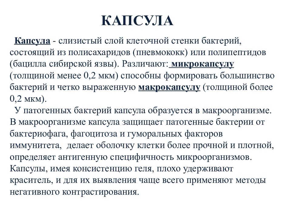 какую функцию выполняет капсула у бактерий. картинка какую функцию выполняет капсула у бактерий. какую функцию выполняет капсула у бактерий фото. какую функцию выполняет капсула у бактерий видео. какую функцию выполняет капсула у бактерий смотреть картинку онлайн. смотреть картинку какую функцию выполняет капсула у бактерий.