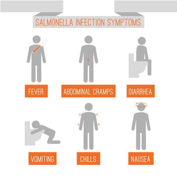 Причины, симптомы, диагностика и лечение сальмонеллеза
