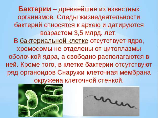 Небольшие проекты по биологии