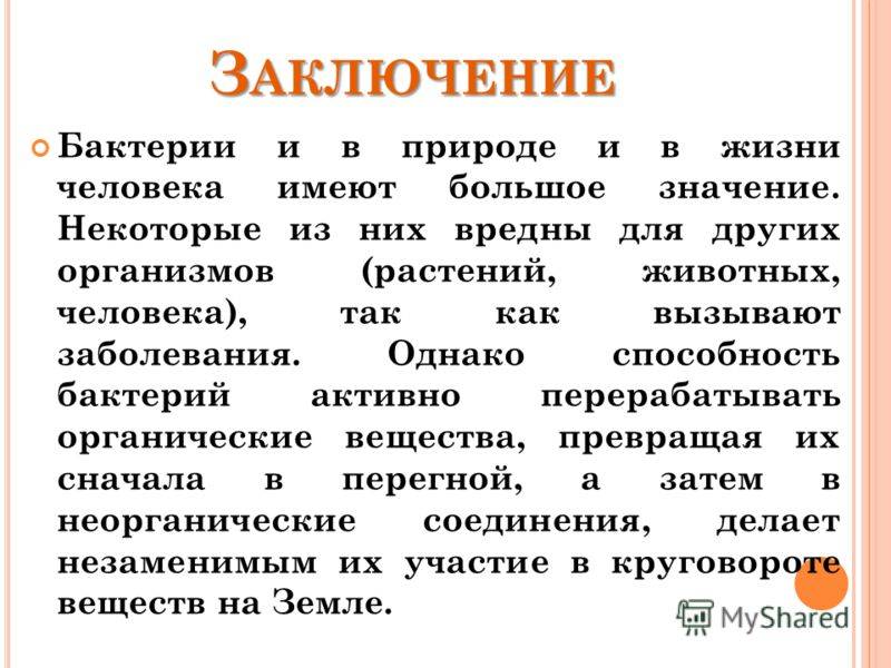 Конспект урока по теме : "бактерии. строение и жизнедеятельность"