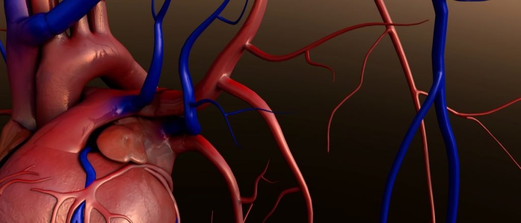 Постинфарктный кардиосклероз — причины, симптомы, диагностика и лечение